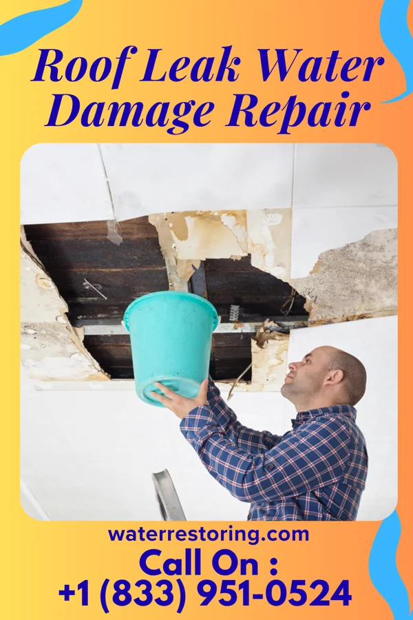 Roof Leak Water Damage Repair in What Cheer, IA