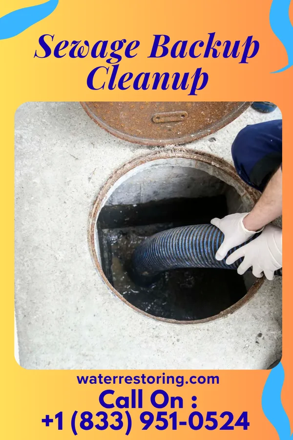Sewage Backup Cleanup in What Cheer, IA